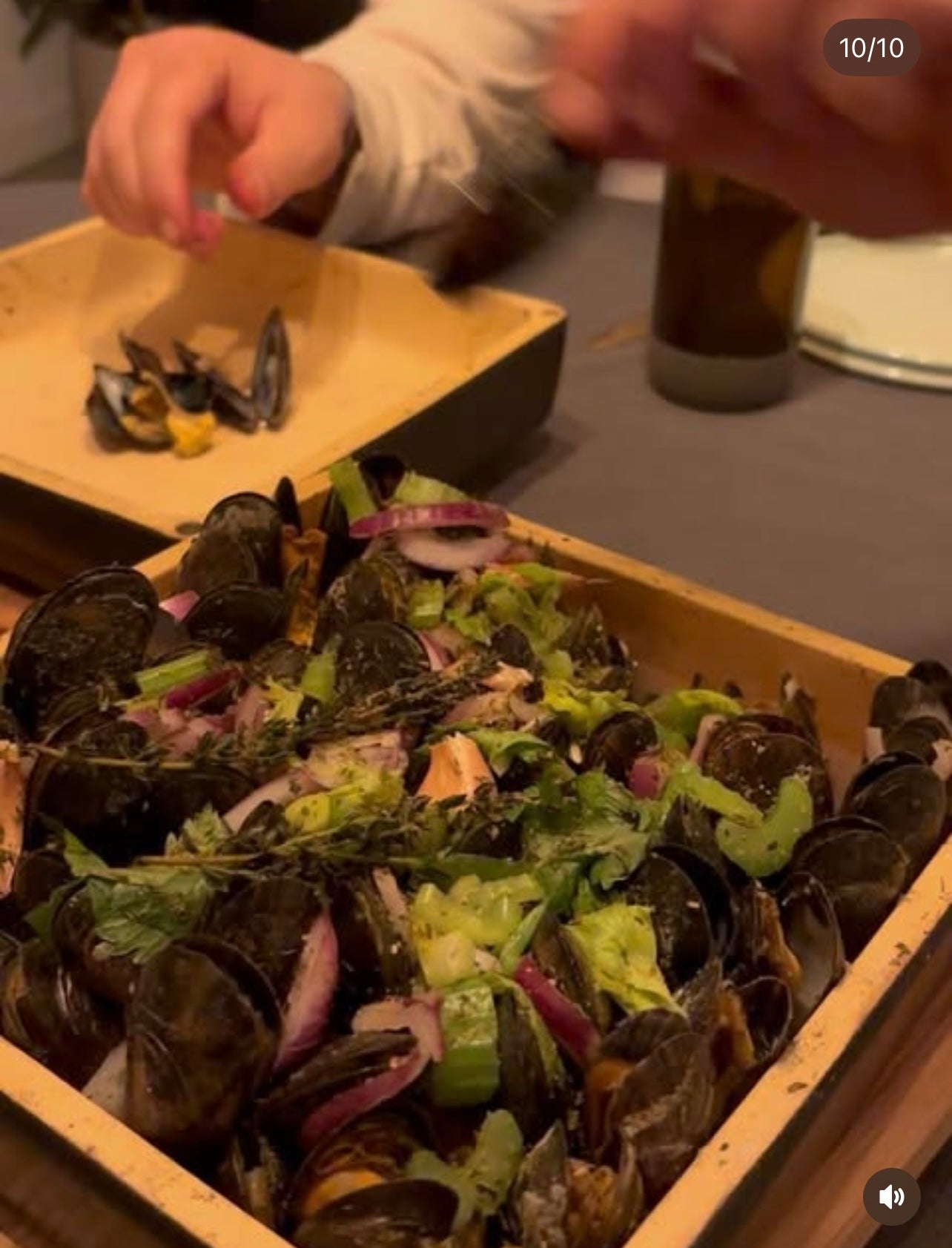 Brique de cuisson Bricknic