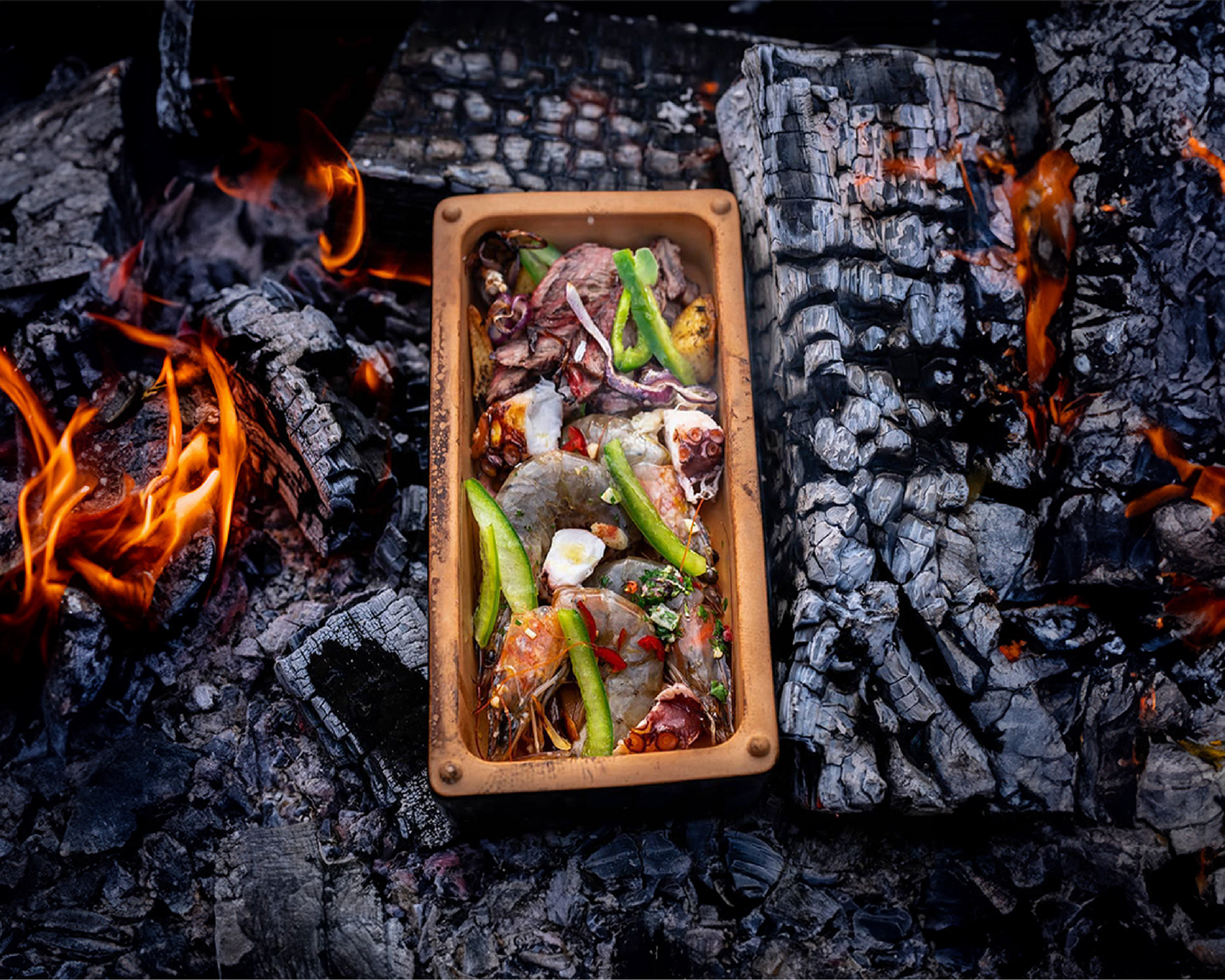 Brique de cuisson Bricknic